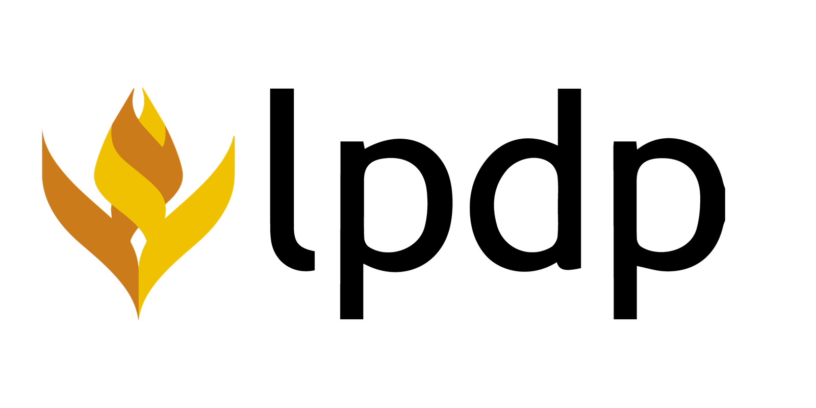 LPDP